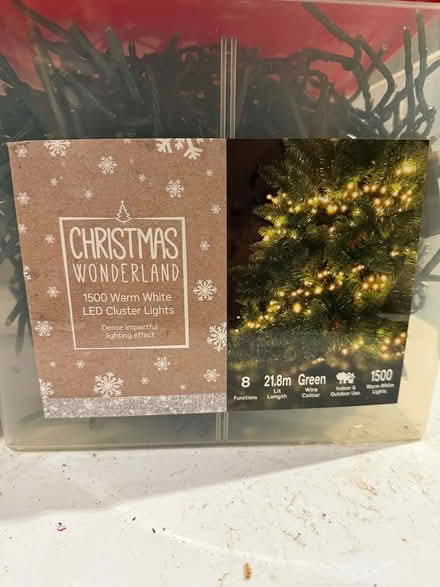 Photo of free Christmas lights (Poole BH14) #2