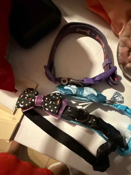 Photo of free Dog supplies (Southwest DC-Navy Yard) #4