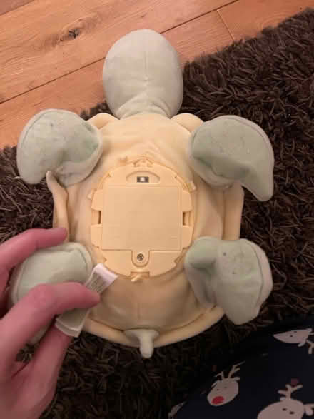 Photo of free Interactive Turtle toy (Hemel, HP3) #2