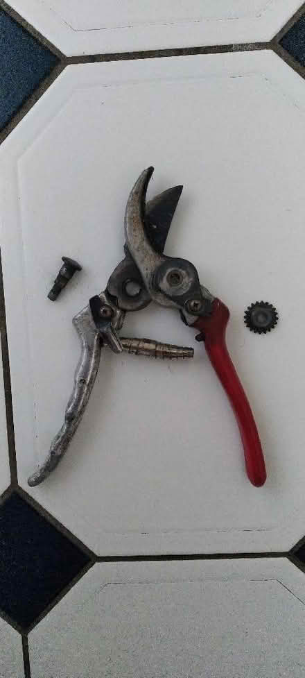 Photo of free Secateurs needing repair (Kennington OX1) #2
