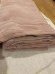Photo of free Twin - Double Vellux blanket pink (L5L 5P5) #2