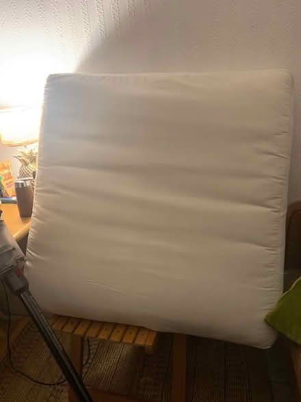 Photo of free Very large cushions (Brockley SE4) #1