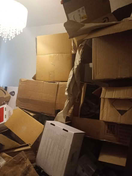 Photo of free Cardboard boxes (Knottingley WF11) #3