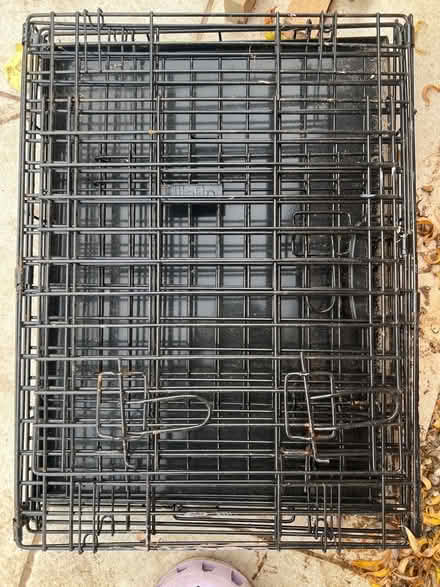 Photo of free Small dog crate (St Margarets TW1) #1