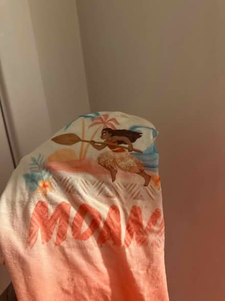 Photo of free Dog supplies (Southwest DC-Navy Yard) #1