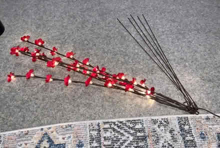 Photo of free Illuminated Plug in Floral Stems. (Kendal LA9) #2