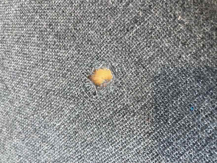 Photo of free Love Seat (Uniontown) #3