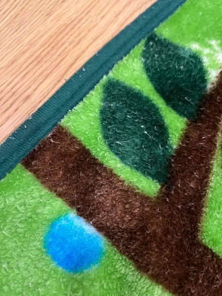 Photo of free Fleece blanket (Hintonburg) #2