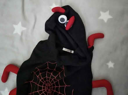 Photo of free Toddler's spider dress up jumper (Leigh Park PO9) #2
