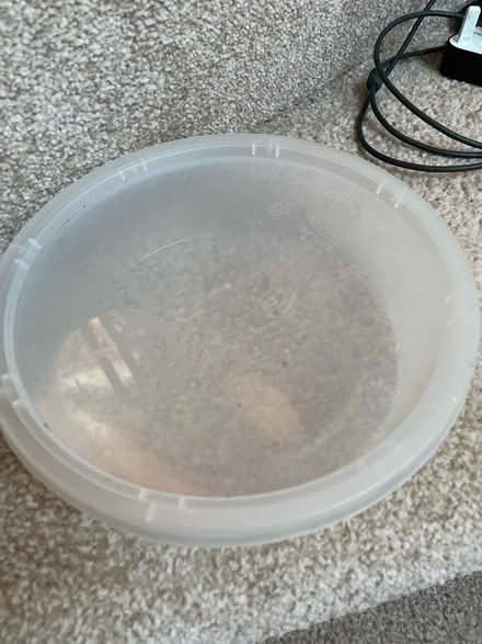 Photo of free Round Tupperware (Headingley LS4) #1