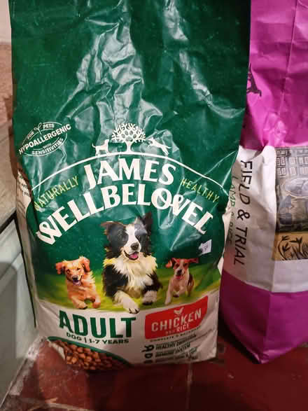 Photo of free Adult dog food (Charlton Kings GL52) #3