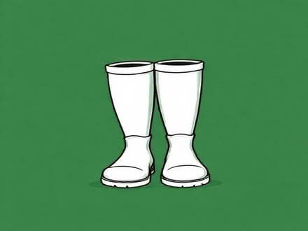 Photo of Wellies size 3 or 4 (Meersbrook S8) #1