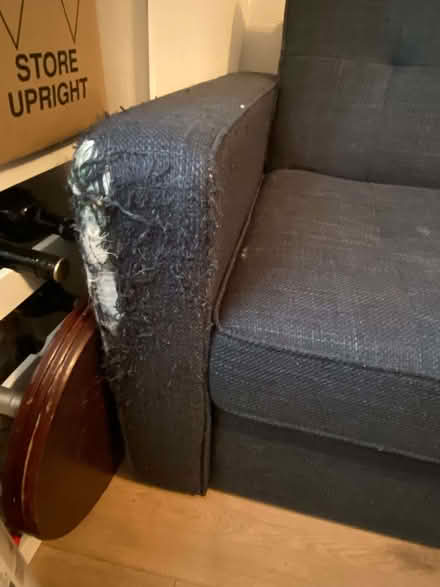 Photo of free 2 person sofa bed (Streatham Park SW16) #3