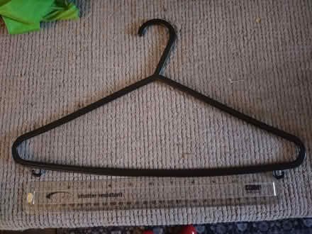 Photo of free Coat hangers (Union Park TR11) #1