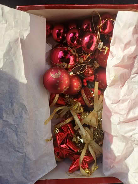 Photo of free Christmas decorations (Shoeburyness) #2