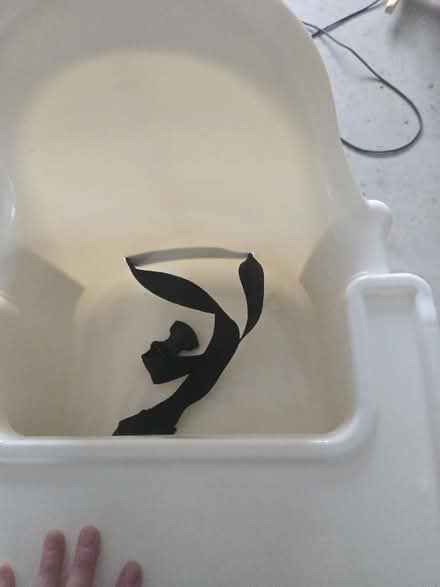 Photo of free High chair (Aldershot) #2