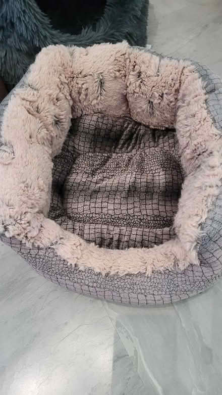 Photo of free Cat beds (Turves Green B31) #2