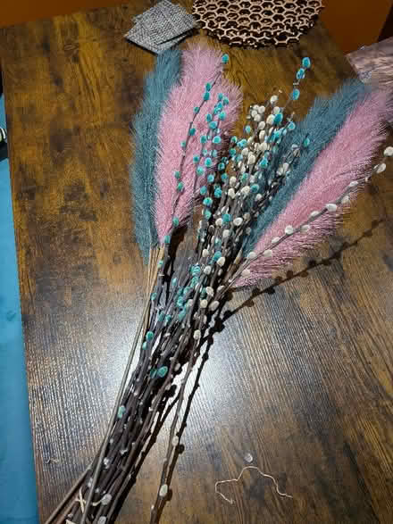 Photo of free Dried flowers (South Gosforth) #1
