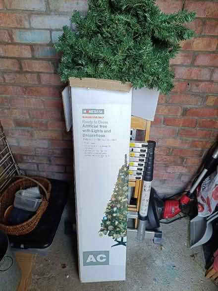 Photo of free Tall Christmas tree (Caldecott OX14) #1