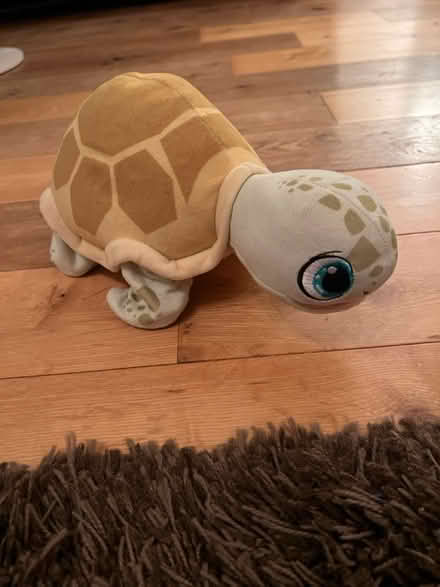 Photo of free Interactive Turtle toy (Hemel, HP3) #1