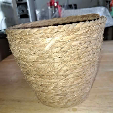 Photo of free Indoor plant pot (Erith DA17) #1