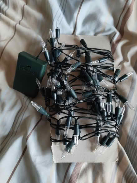 Photo of free Coloured Tree lights (TN39) #2