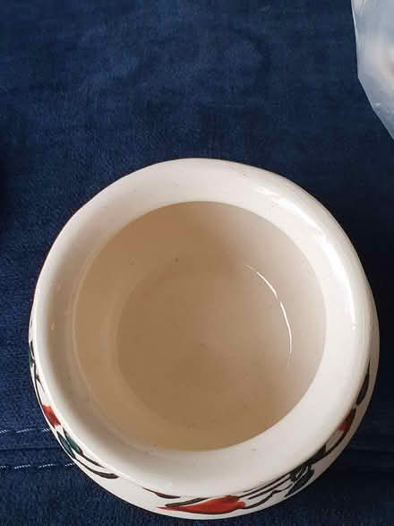 Photo of free 12x Ceramic dessert / treat pots (Whitehouse Common B75) #3