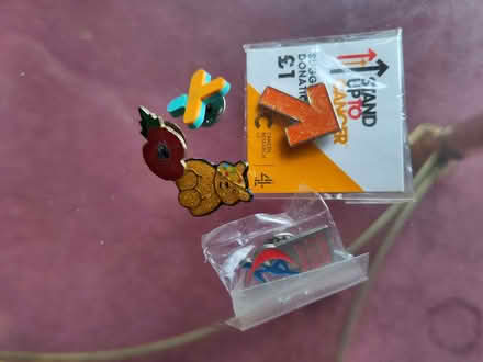 Photo of free Old Charity Badges (Mountier Court E11) #1