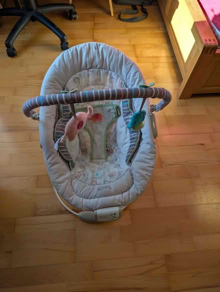 Photo of free Baby bouncer (Didcot OX11) #2