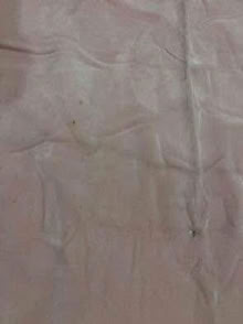 Photo of free Twin - Double Vellux blanket pink (L5L 5P5) #4