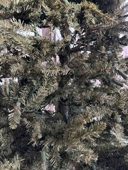 Photo of free Artificial Christmas Tree (The Downs, Annapolis) #3