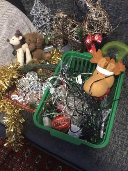 Photo of free Christmas things (Wellington) #1