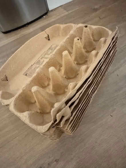 Photo of free 10 large egg boxes (Lower Earley RG6) #1