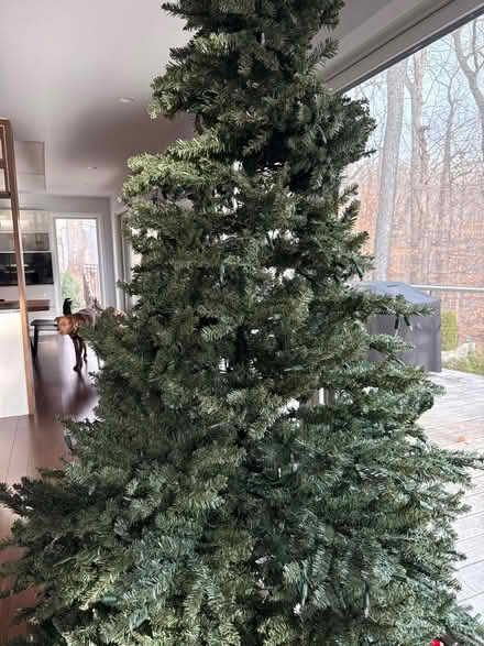 Photo of free Artificial Christmas Tree (The Downs, Annapolis) #2