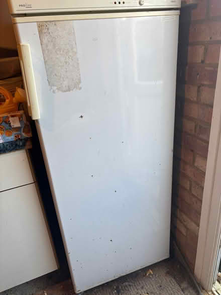 Photo of free Tall freezer (Causeway End MK43) #1