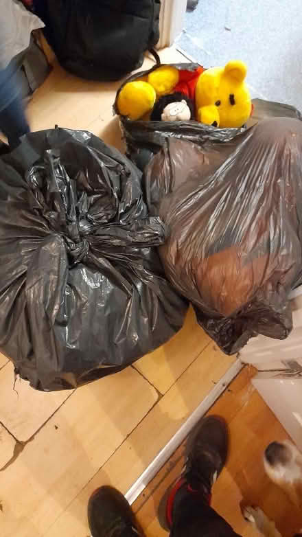 Photo of free Teddys (Netherley L27) #2