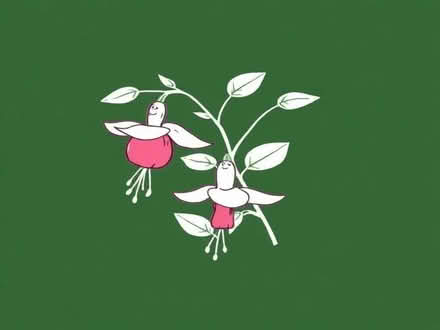 Photo of free Fuchsia plant (Wimbledon Village SW19) #1