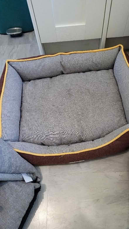 Photo of free Cat beds (Turves Green B31) #4