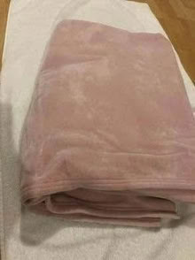 Photo of free Twin - Double Vellux blanket pink (L5L 5P5) #3