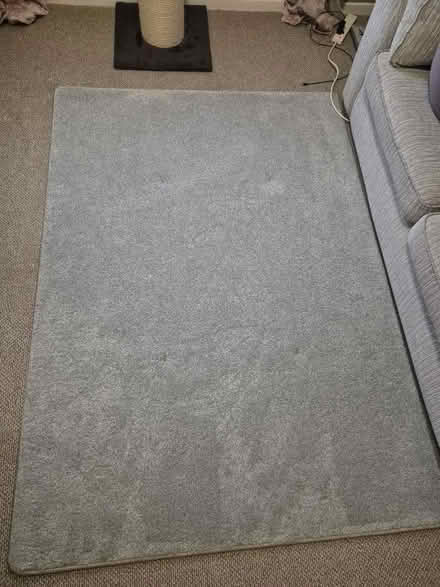 Photo of free Light grey rug (Drayton PO6) #1