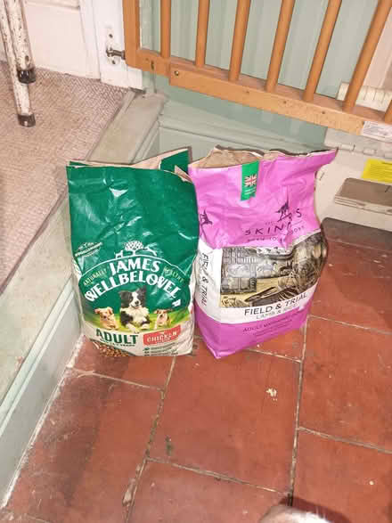 Photo of free Adult dog food (Charlton Kings GL52) #1