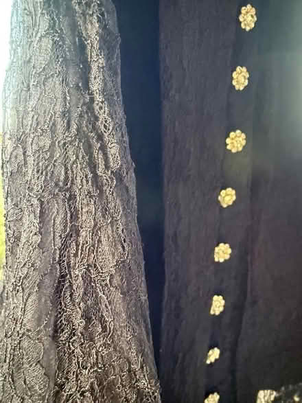 Photo of free Vintage Lace Dress (Cupertino - DeAnza and 280) #3