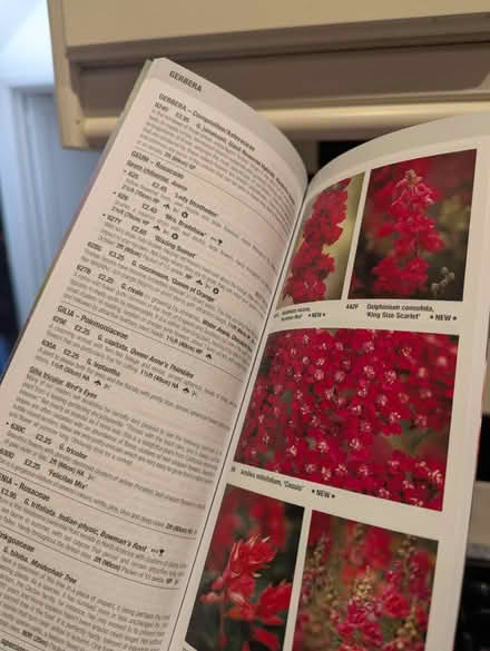 Photo of free Seed catalogues from Chiltern Seeds (Tonbridge TN10) #3