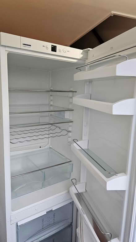 Photo of free Fridge freezer (SE19) #1