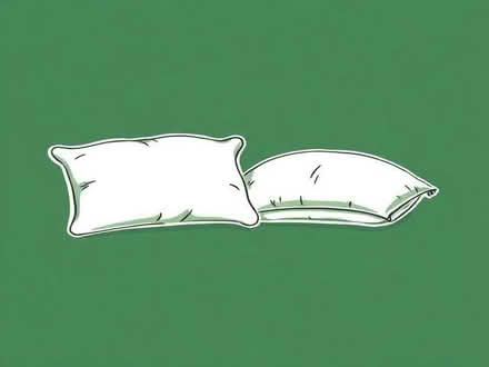 Photo of free Pillows for Animal Bedding (Penyffordd CH4) #1