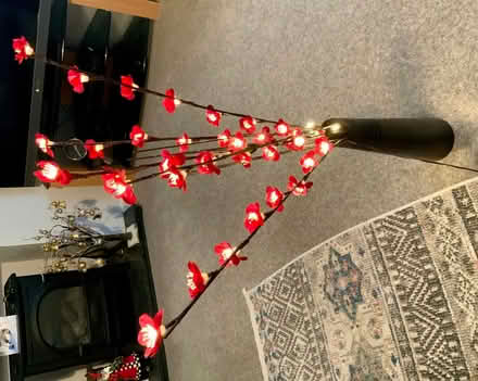 Photo of free Illuminated Plug in Floral Stems. (Kendal LA9) #1