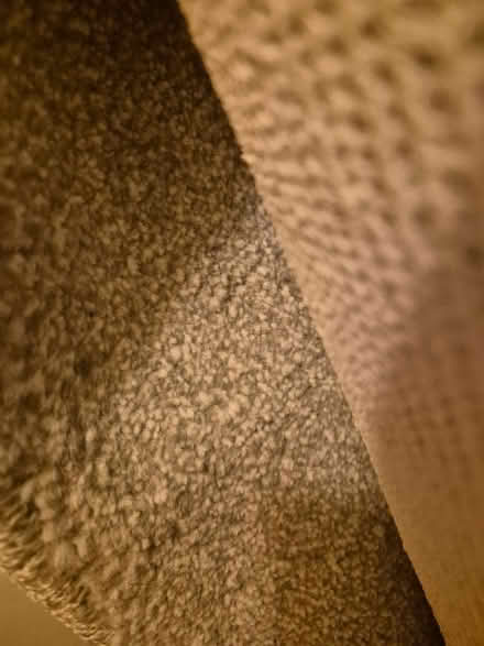 Photo of free Light grey rug (Drayton PO6) #3