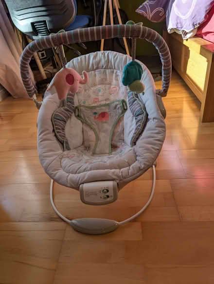 Photo of free Baby bouncer (Didcot OX11) #3