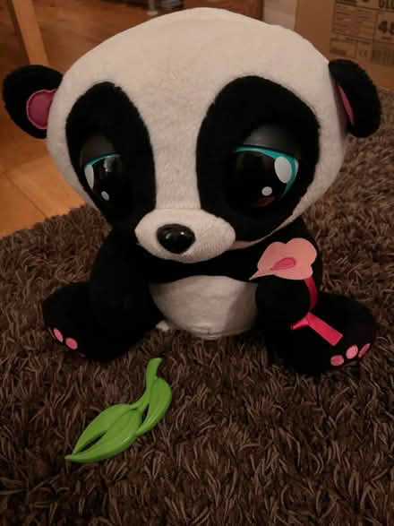 Photo of free Interactive Panda toy (Hemel, HP3) #1