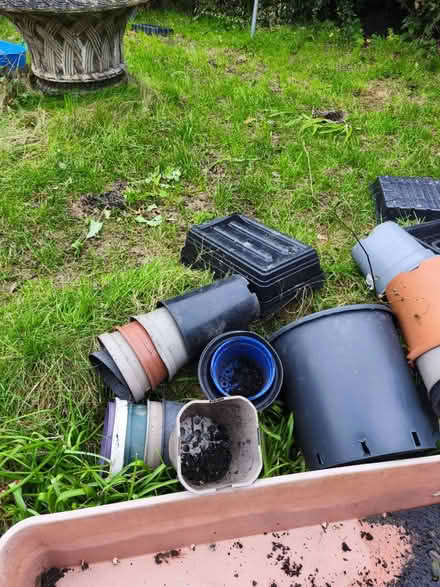 Photo of free Plant pots and trays (TN39 4JT) #3